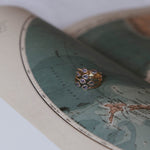 Tanzanite Rose Cut Ring